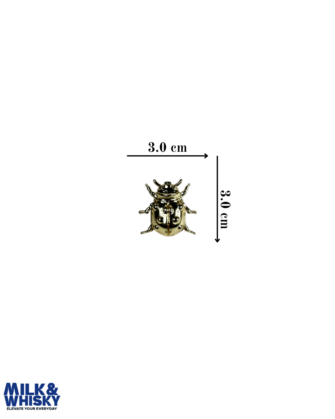 Beetle Brooch
