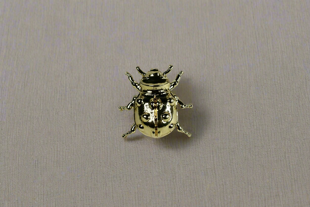 Beetle Brooch
