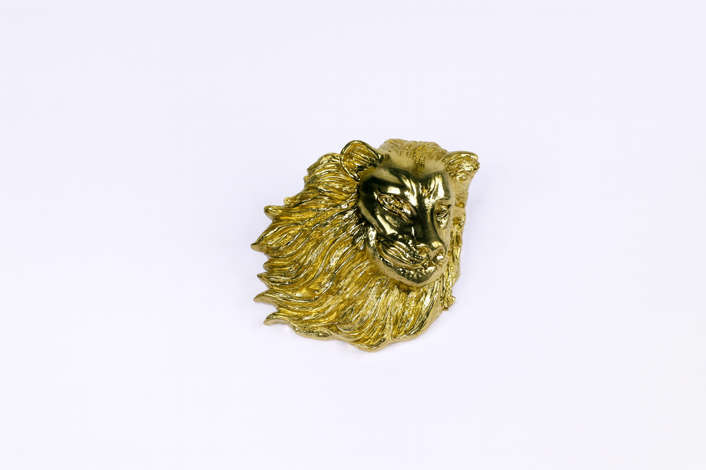 Lion Brooch