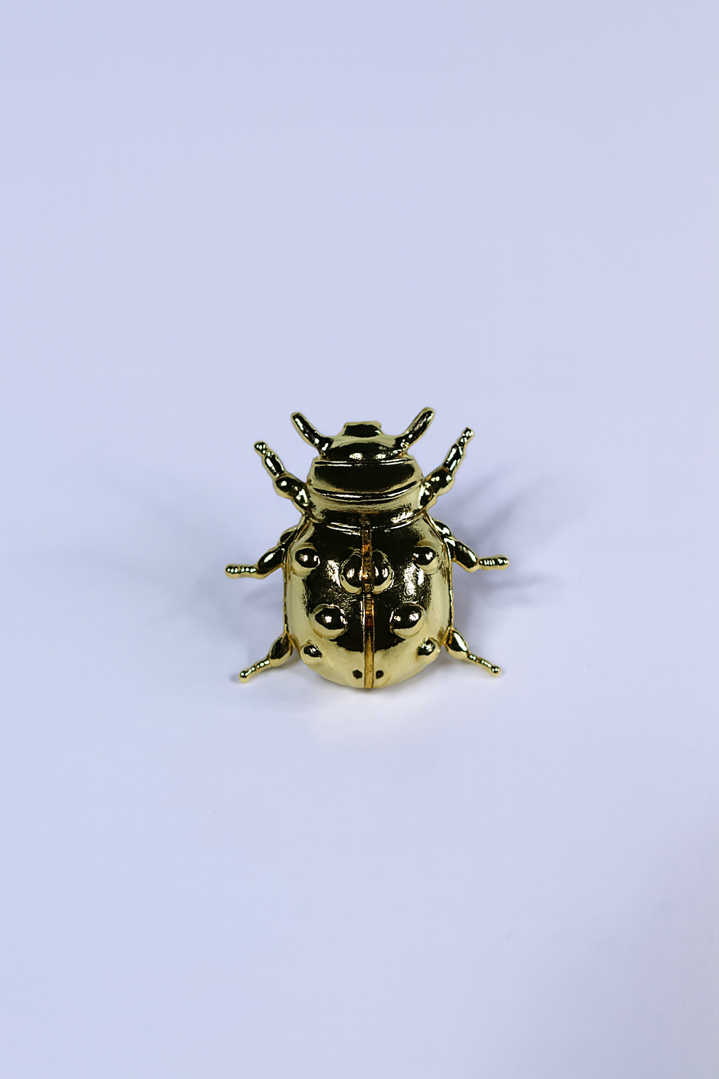 Beetle Brooch