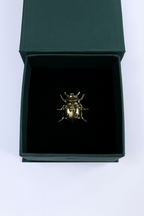 Beetle Brooch