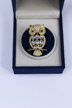 OWL Brooch