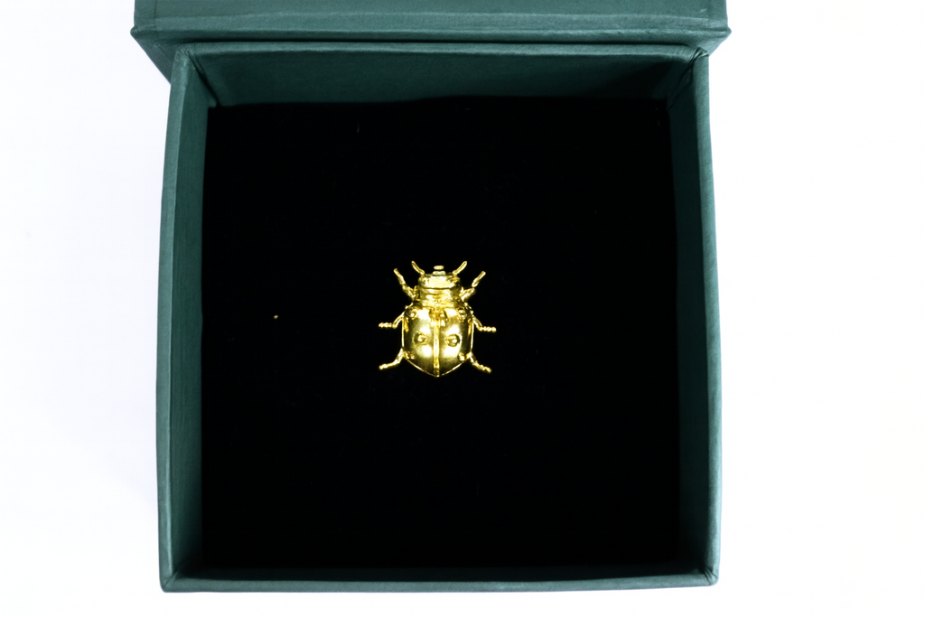 Little Beetle Brooch