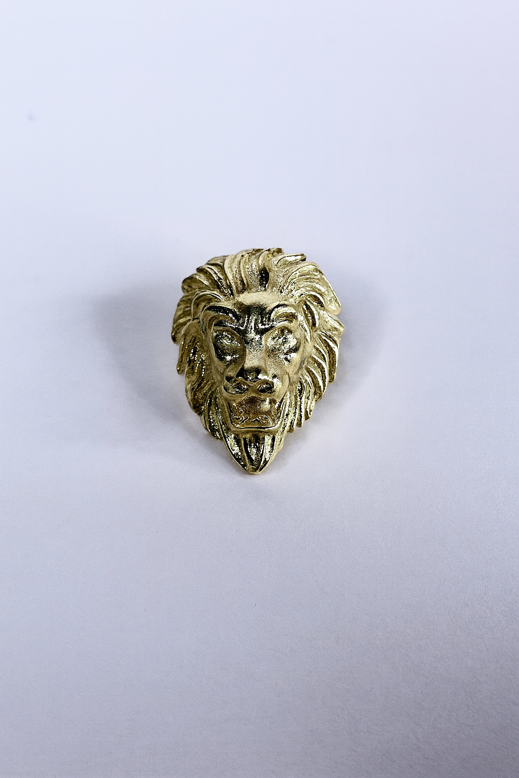 Lion Face Brooch