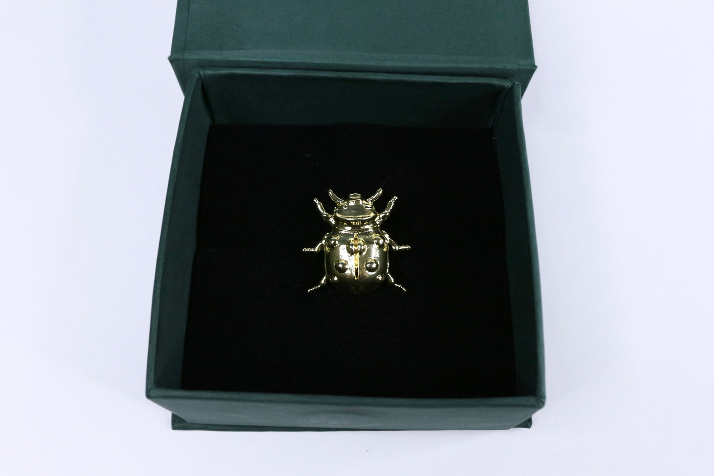 Beetle Brooch