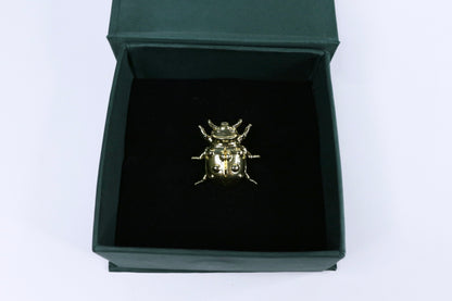 Beetle Brooch