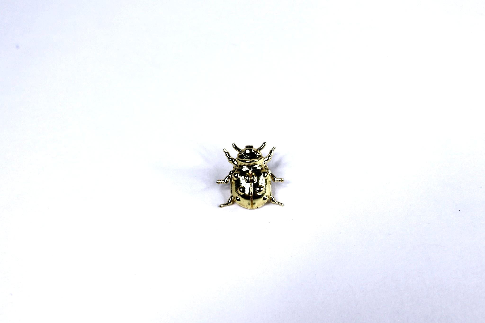 Little Beetle Brooch
